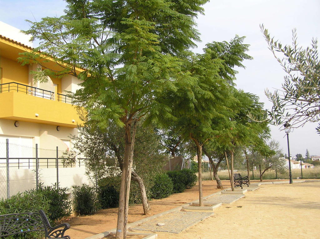 Apartamentos Turisticos Los Girasoles Espartinas Exterior foto
